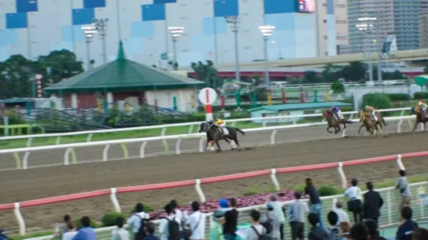 【動画あり】競馬場ナンパ まこ 21歳 居酒屋でバイト ナンパTV 200GANA-1894 (1)