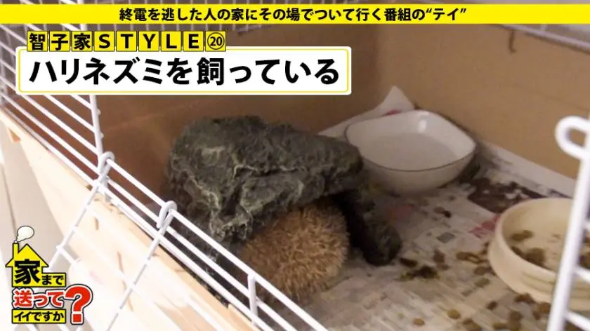 【動画あり】家まで送ってイイですか？ case.117 智子さん 27歳 銀行員(某都市銀行勤務) 277DCV-117 (11)