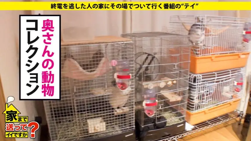 【動画あり】家まで送ってイイですか？ case.120 かえでさん 28歳 ガールズバー店長 277DCV-120 (9)