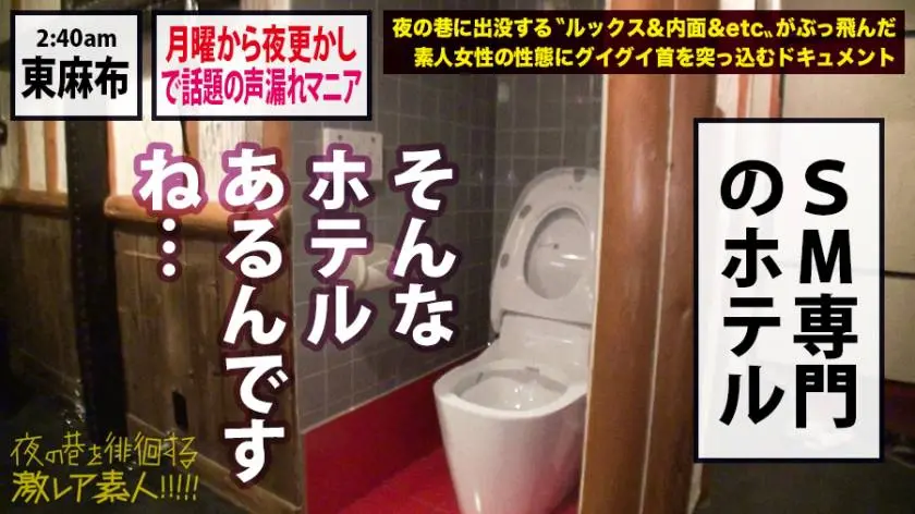 【動画あり】夜の巷を徘徊する激レア素人 美玲(本名)20歳 職業不明 300MIUM-397 (25)