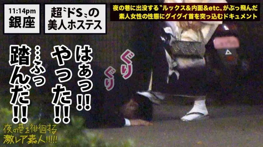 【動画あり】夜の巷を徘徊する〝激レア素人〟！！ 18 アキナ(本名) 25歳 銀座の路上で男に土下座さすドSホステス 300MIUM-429 (14)