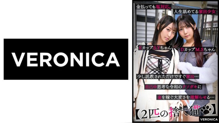 S.Y.&M.S. 2匹の捨て猫 1vrnc00083