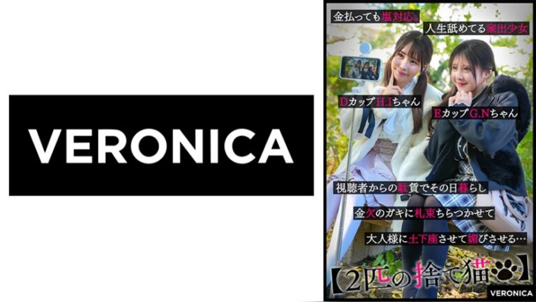 H.I.＆G.N. 2匹の捨て猫 1vrnc00088