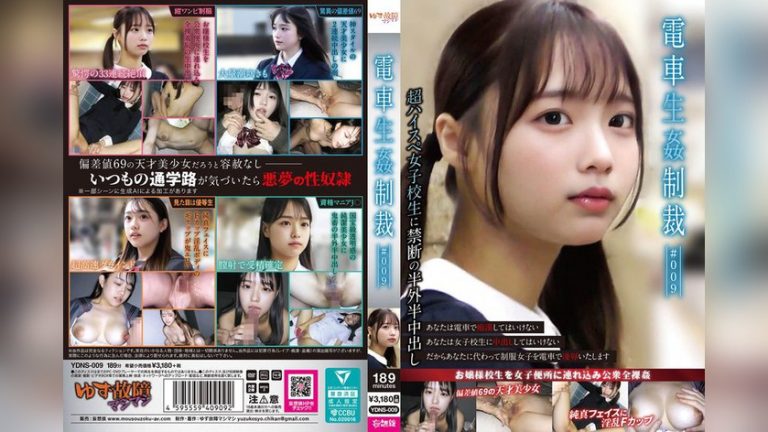 電車生姦制裁 ＃009 電車生姦制裁 ydns00009