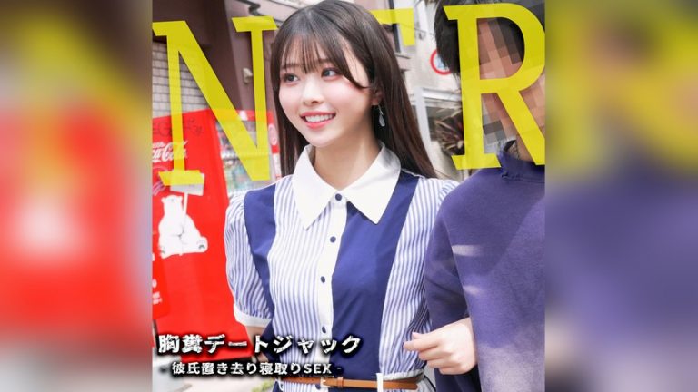 あおい しろうとnavi snav003